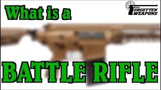 What is a Battle Rifle [upl. by Elon28]