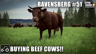 Building A Pasture amp Buying Beef Cows  Ravensberg 51 Farming Simulator 19 Timelapse [upl. by Nnek319]