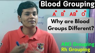 Why Are There Different Blood Groups  Blood Grouping  ABO Grouping  Rh Grouping [upl. by Noscire]