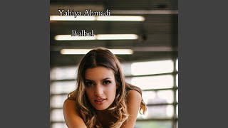 Bulbel [upl. by Anits]