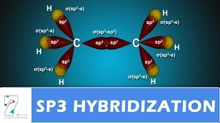 Sp3 HYBRIDIZATION PART 02 [upl. by Popper]