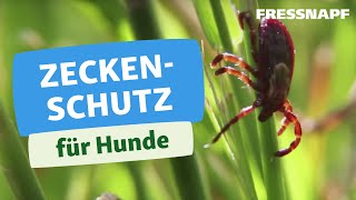 Zecken entfernen Hund  Gesundheit  FRESSNAPF [upl. by Kip5]