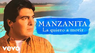 Manzanita  La Quiero A Morir Cover Audio [upl. by Scheld]