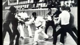 SHOTOKAN KARATE MAKAYAMA TEHNIKE 24 [upl. by Nnylekoorb]