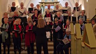 Lyngby Seniorkor julekoncert i Lundtofte Kirke 091223 Jul jul strålende jul [upl. by Eirod]