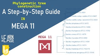 How to Construct a Phylogenetic Tree in MEGA 11 A StepbyStep Guide [upl. by Clim]