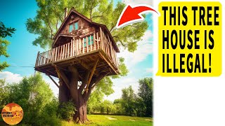 HOA Karen Vandalizes Treehouse I Built Says It Lowers Her Property Value I’m NO HOA Member [upl. by Sakmar177]