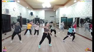 BOLA REBOLA DANCE WORKOUT  ZIN ANITA  BSS STUDIO MALANG [upl. by Godiva]