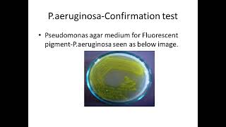 Pharma guide lineMicrobiology [upl. by Crystal541]