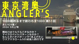 【東京湾奥】隅田川 悶絶クルクルバチ？バチパターン釣行4 ワスプスラローム50sで初釣行【シーバス釣り】2024 5月上旬 Can We Catch Fish In Tokyo Bay 51 [upl. by Dunlavy227]