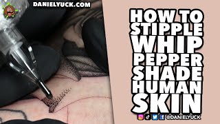 How To Stipple Whip Pepper ShadeTattooing 101 [upl. by Quennie]