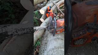 Chainsaw Husqvarna VS dropped saw chain [upl. by Jedthus]