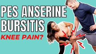 Pes Anserine Bursitis  Causes amp Treatments [upl. by Matt862]