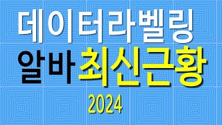 데이터라벨링 알바 최신근황 2024 [upl. by Seebeck]