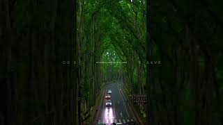 Sanu ek pal chain na aave II slowed lofi song II lyrics music lofidrill slowedreverb shortsfeed [upl. by Edgerton]