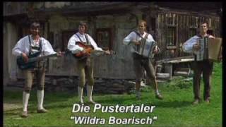 Die Pustertaler  Wildra Boarisch [upl. by Otti810]