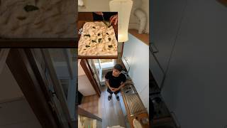 FOCACCIA E COTOLETTA FEAT Papa V reels food comedy perte cucina cooking tiktok shorts [upl. by Tomas]