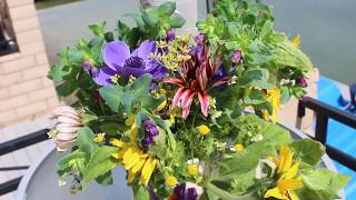 Cerinthe Major HoneywortShrimp Plant Growing Guide From Seed To Harvest amp Vase Life Tips  Ep 101 [upl. by Eetnuahs93]