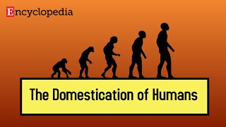 The Domestication of Humans [upl. by Iraam]