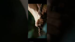 apocalypto 2 official trailer 2025movie [upl. by Gherardo179]