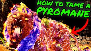 PYROMANE Easy Taming Guide How to Tame a Pyromane on The Center in Ark Survival Ascended [upl. by Esinart]