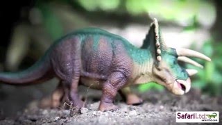 Safari Ltd® Wild Safari® Dinos Triceratops  360 degree view [upl. by Aida250]