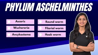 Phylum Aschelminthes  All examples  Learn in no time  Flash Learn [upl. by Kletter]