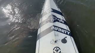 Paddleboard Manatee sighting [upl. by Natsirt]