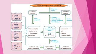 Lipase Production PART II [upl. by Anselm]