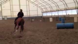 Cheryl Andersen and Izzie Level 3 Freestyle Audition [upl. by Veron]