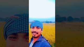 village life moram lagi golthuk asami song ❤️❤️🌹🌹🌷🌷🌷 [upl. by Maroj303]