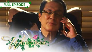 ENG SUB Ep 57  Wildflower  Maja Salvador Tirso Cruz III Aiko Melendez [upl. by Merilee859]