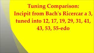 Tuning Comparison Bach Ricercar a 3 Incipit 12 17 19 29 31 41 43 53 55edo [upl. by Aramac]