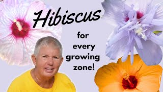 Hibiscus for Every Growing Zone  Different Types of Hibiscus [upl. by Ttekcirc]