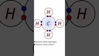 Nucleons Can Have VALANCE SHELLS science physics nuclear [upl. by Anohsal]