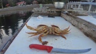 Quatsino Sound Salmon Fishing amp Crabbing Day 2  British Columbia [upl. by Akiam]