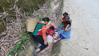 Giang Thi Ty picked melons to sell met the baby with a tumor on her back  single mother [upl. by Jacques]