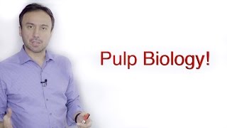 Pulp Biology A Basic Crash Course [upl. by Eatnuahs231]