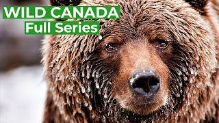 Wild Canada  Natures Untamed Beauty  Full Series  Free Documentary Nature [upl. by Ojybbob]