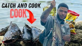 Blue Catfish Catch and Cook Bank Fishing [upl. by Sined]