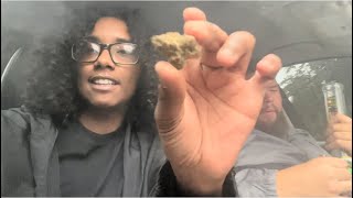 HEMPFEST 2024  SESH [upl. by Prasad]