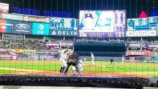 Watching Aaron Judge bat from behind home plate 2017 [upl. by Detta581]