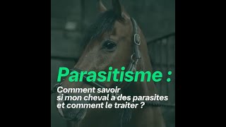 Comment savoir si mon cheval a des parasites et comment le traiter [upl. by Sille]