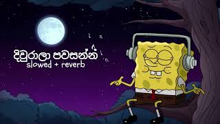 දිවුරාලා පවසන්න  Diurala Pawasanna  Slowed Reverb [upl. by Ardnatal]