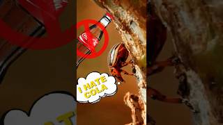 A beetle who doesnt like Coke🪲 [upl. by Nevlin]