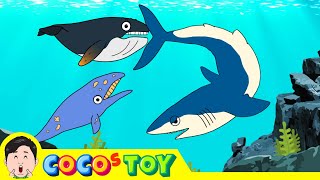 The adventures of baby humpback whaleㅣsharks amp whales for kidsㅣCoCosToy [upl. by Odele]