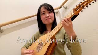 Awake sweet love  John Dowland [upl. by Yrbua]