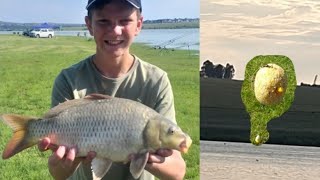 FISHING at Bronkhorstspruit dam in South Africa WHAT BAITS WORK [upl. by Eiggem]