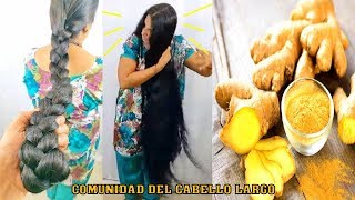 BENEFICIOS Y PROPIEDADES DEL JENGIBRE ¡¡4 IDEAS PARA EL CABELLO [upl. by Davies411]