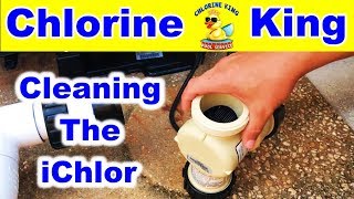 Pentair iChlor Salt Cell Cleaning  Chlorine King Pool Service [upl. by Khan]